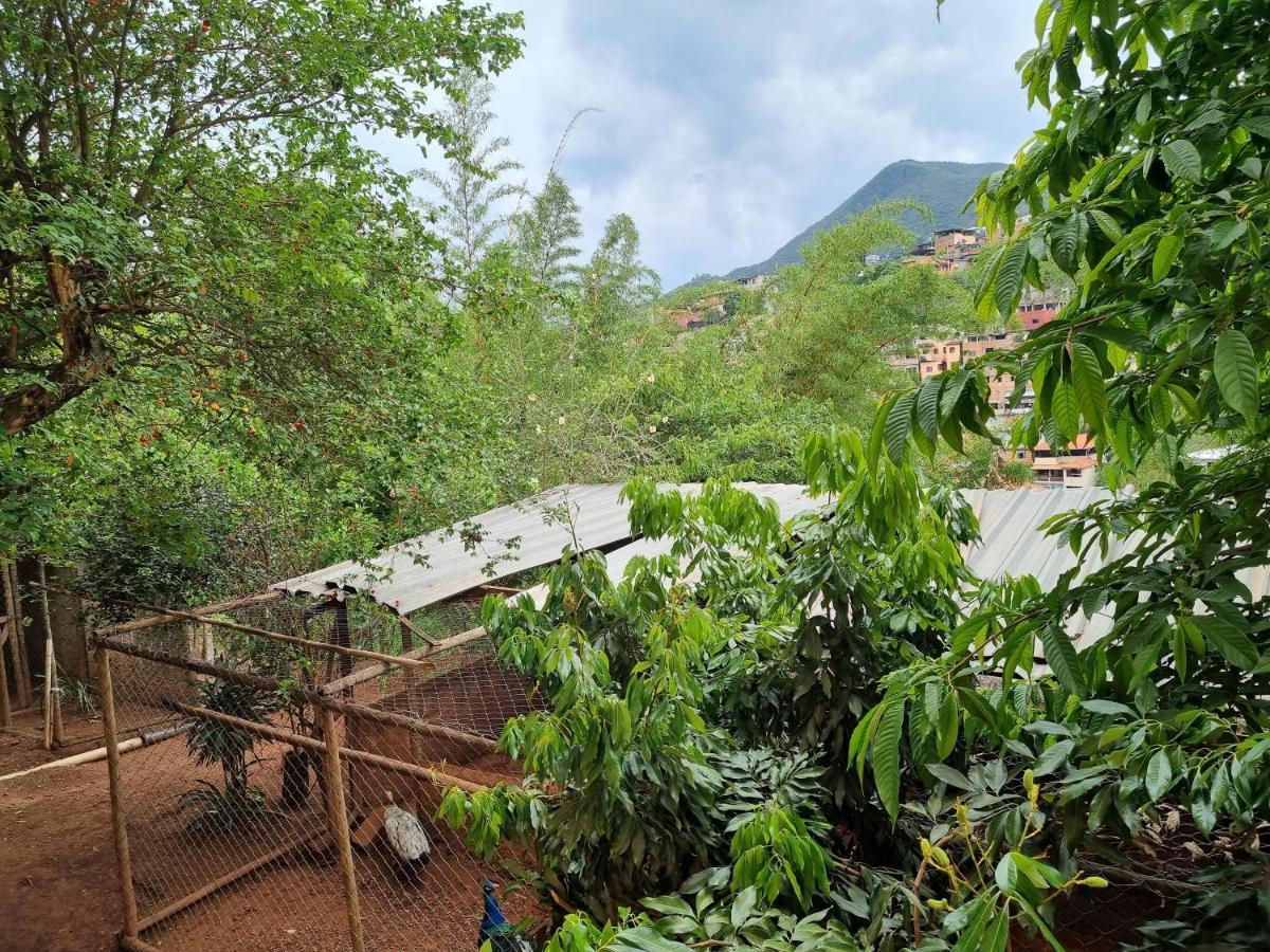 Casa Faisao Villa Nova Lima Buitenkant foto